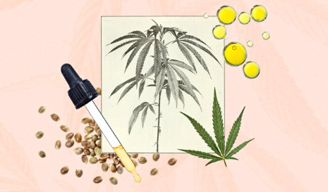 cbd olja hhc vape cbd herbmed hampafröolja